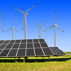 Green Trade and the WTO