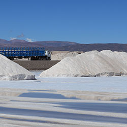 The Resource Curse: Emerging Markets in South America