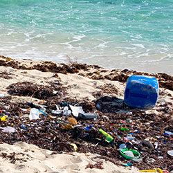 Trash Trouble:  Development Politics in St. Ann